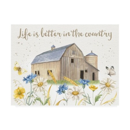 Trademark Fine Art Jane Maday 'Nostalgic Farm I' Canvas Art, 35x47 WAG15688-C3547GG